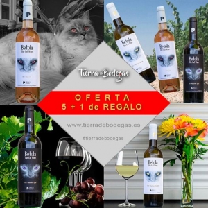 Tierra de Bodegas