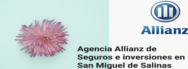 Allianz Seguros - Agente Maria Angeles Perez Sala